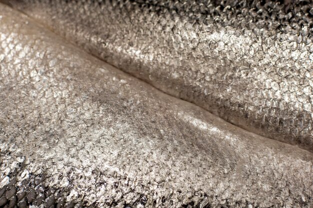 Close-up de escamas de pescado