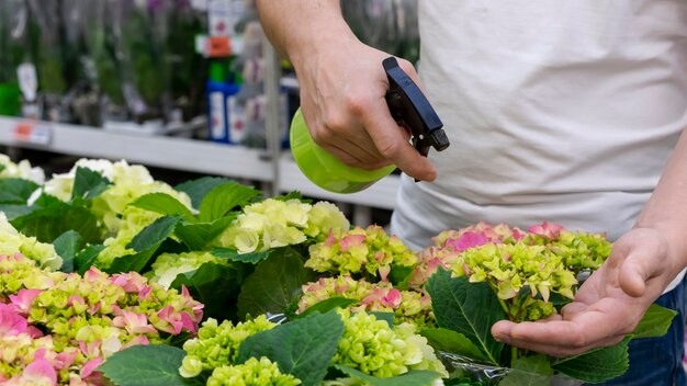 Close-up hombre rociando colección de plantas con agua