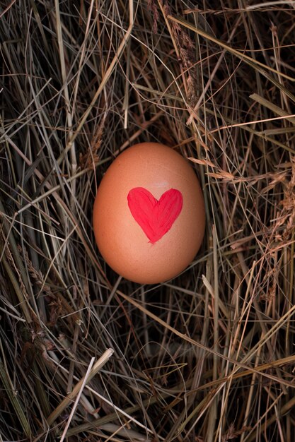 Close-up huevo de pascua con corazón pintado