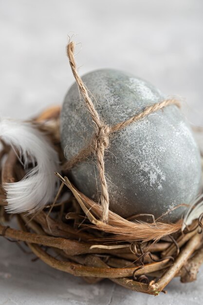 Close-up de huevo de Pascua en nido de pájaro con pluma