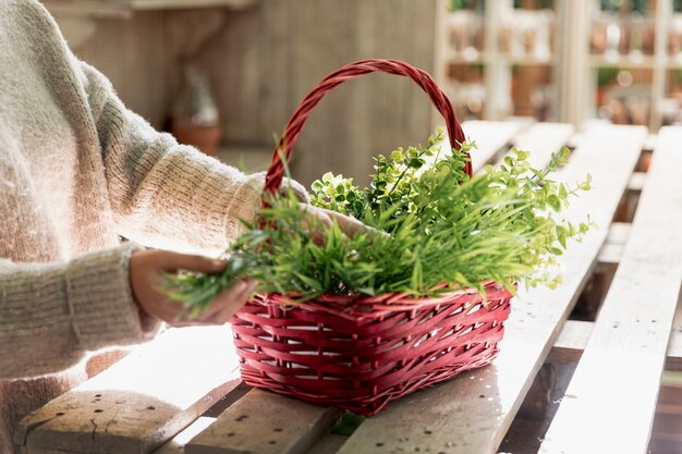 Close-up mujer arreglando plantas en canasta