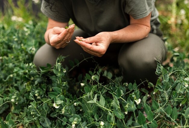 Close-up mujer cuidando las plantas