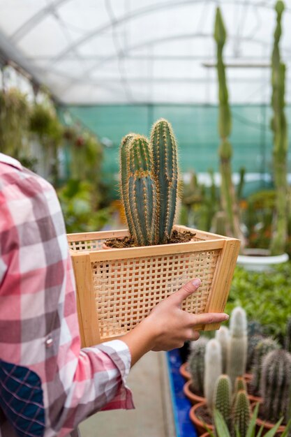 Close-up mujer sosteniendo la cesta con cactus en invernadero