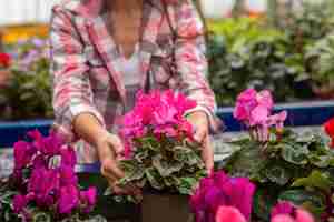 Foto gratuita close-up mujer tocando flores en el jardín