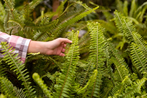 Foto gratuita close-up mujer tocando plantas en invernadero