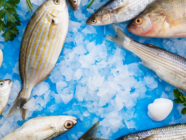 Close-up peces frescos con cubitos de hielo