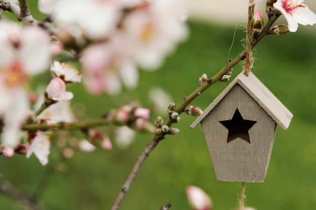 Foto gratuita close-up pequeña casa de madera en un árbol