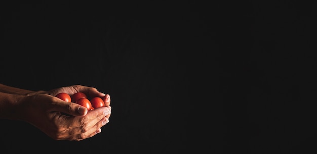 Close-up persona sosteniendo tomates con espacio de copia