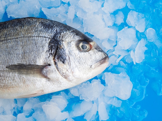 Close-up pescado fresco con branquias en hielo