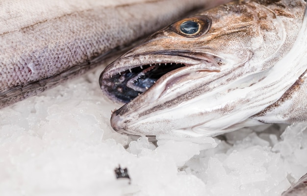 Close-up de pescado fresco en hielo