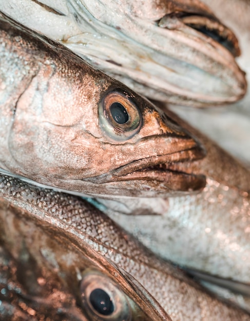 Foto gratuita close-up de pescado fresco en el mercado