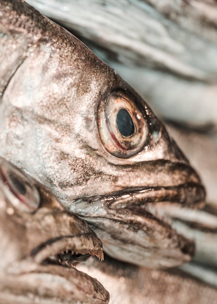 Foto gratuita close-up de pescado fresco en la tienda