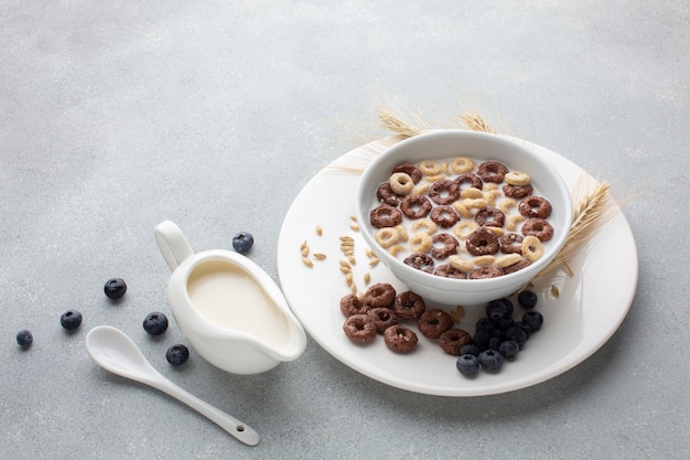 Close-up sabroso tazón de cereal con leche