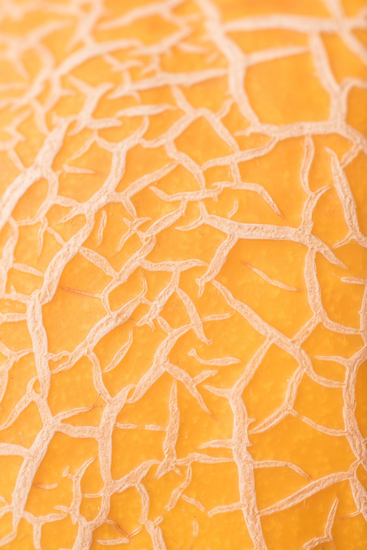 Photo Gratis close up shot of melon's skin