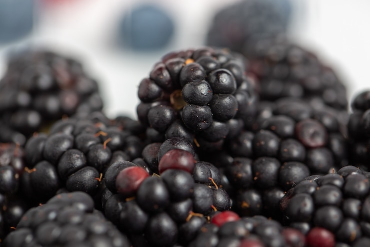 Foto gratuito closeup de deliciosas moras