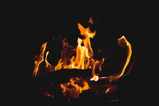 Closeup disparó madera ardiente y los hermosos colores del fuego