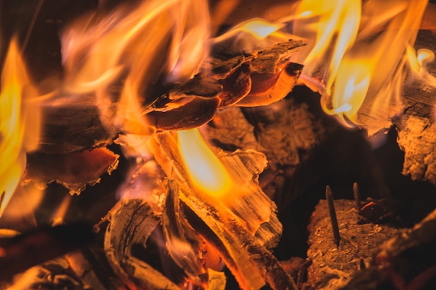 Closeup disparó madera ardiente y los hermosos colores del fuego