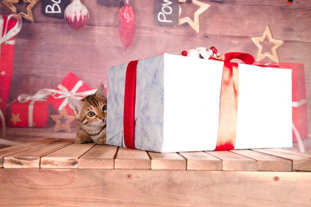 Closeup foto de un gatito atigrado con regalos de Navidad