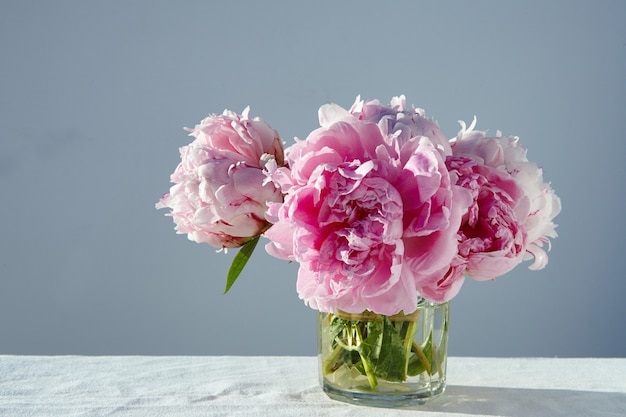 Closeup foto de hermosas peonías rosas en un frasco de vidrio corto en mesa gris