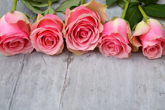 Closeup imagen de rosas de terciopelo rosa sobre una superficie de madera