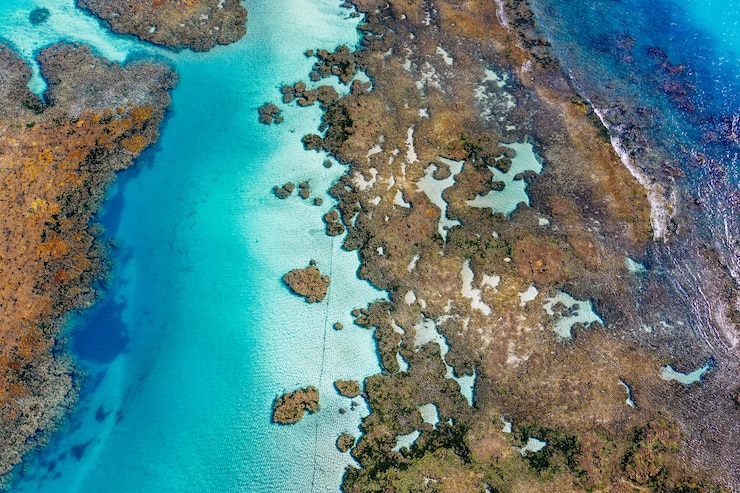 Photo Gratis closeup shot of islands and ocean of a 3d map on canvas
