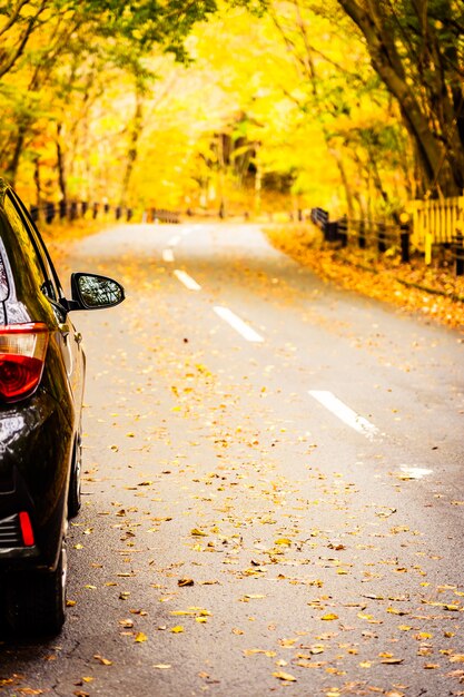 Coche en la carretera en el bosque de otoño