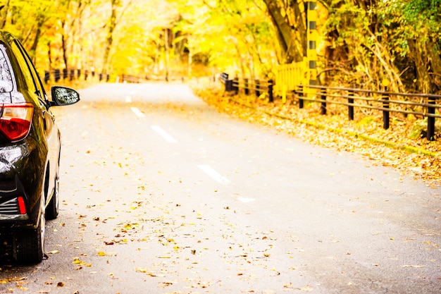 Coche en la carretera en el bosque de otoño