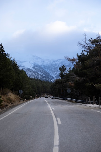 Coche en la carretera a través del bosque durante el viaje de invierno