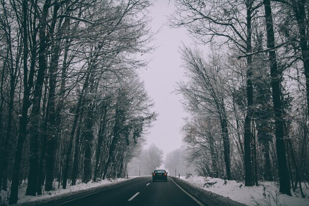 Coche en la carretera a través de un parque de invierno