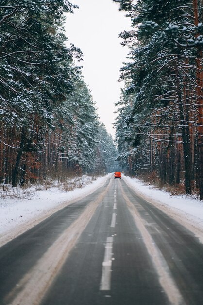 Coche en movimiento en un camino forestal en la nieve.