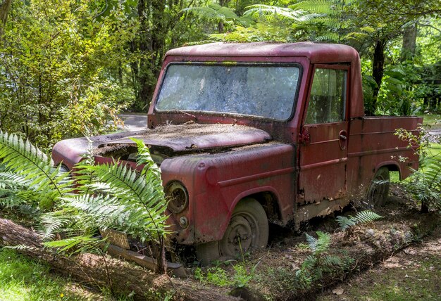 Coche rojo oxidado yaciendo abandonado en un bosque rodeado de árboles