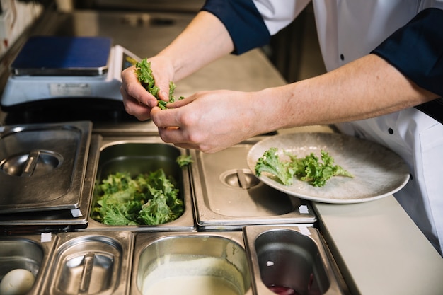 Cocinar poniendo lechuga verde en el plato