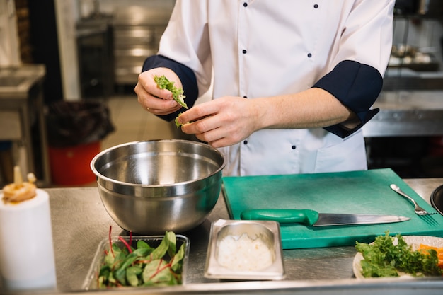 Cocinar poniendo lechuga verde en un tazón.