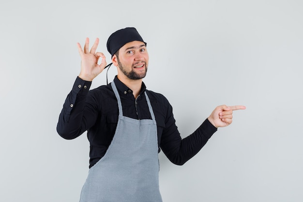 Cocinero de sexo masculino que muestra el signo de ok mientras apunta hacia afuera en camisa, delantal y parece contento, vista frontal