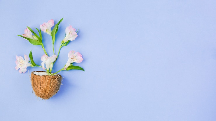 Foto gratuito coco con flores tropicales.