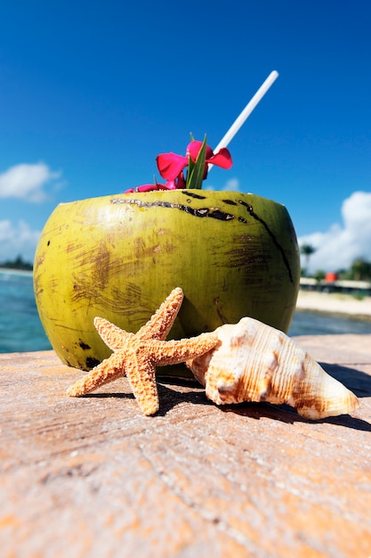 Foto gratuita coco con pajita y conchas de mar