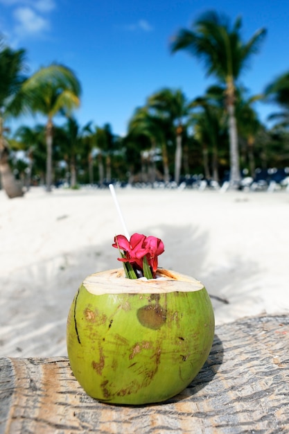 Coco con pajita en una palmera en la playa