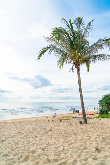 cocotero con playa tropical