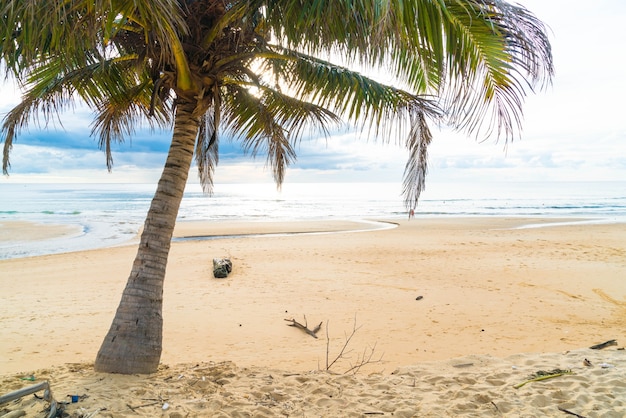 cocotero con playa tropical