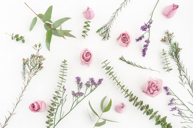 Foto gratuita colección de flores bonitas sobre fondo blanco