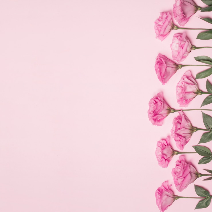 Foto gratuito colección de flores frescas.