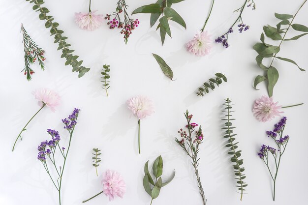 Coleccion de flores geniales sobre superficie blanca