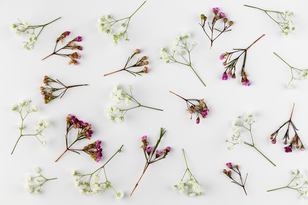 Colección de flores laicas planas en mesa