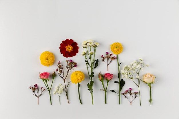 Colección de flores de vista superior en mesa