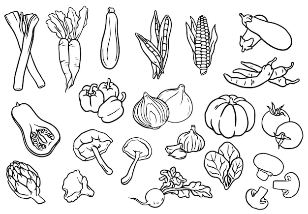Colección de verduras en blanco y negro