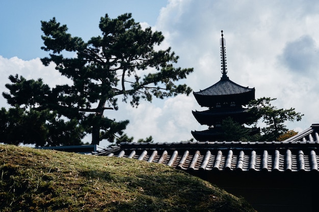 Colina cubierta de hierba con edificios de estilo japonés en la distancia