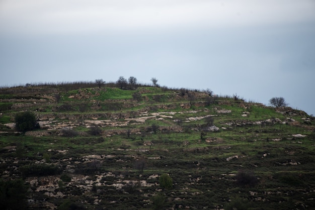 Colina cubierta de vegetación y rocas bajo un cielo nublado durante el día