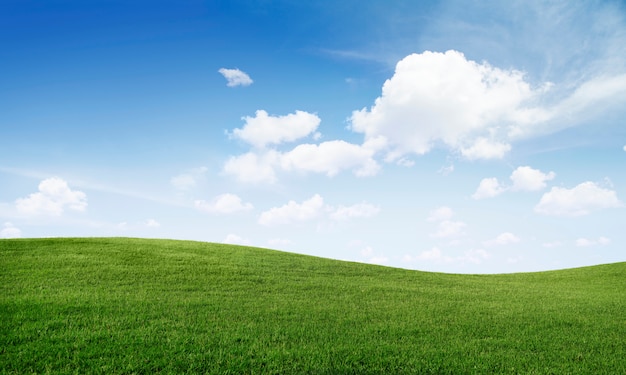 Colina de hierba verde y cielo azul