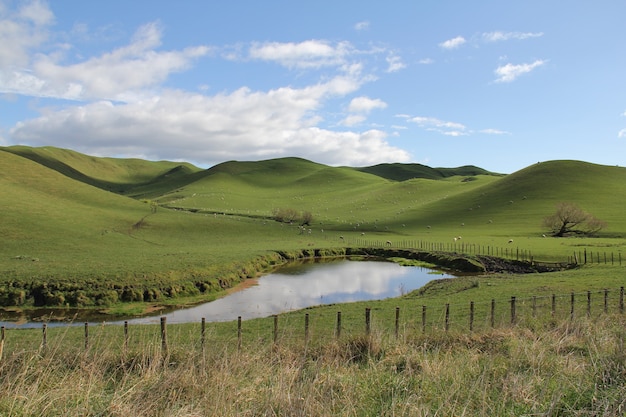 Colinas cubiertas de verde con un lago cerca de Havelock North, Hawke's Bay, Nueva Zelanda