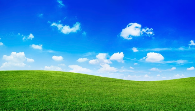 Colinas verdes con cielo azul.